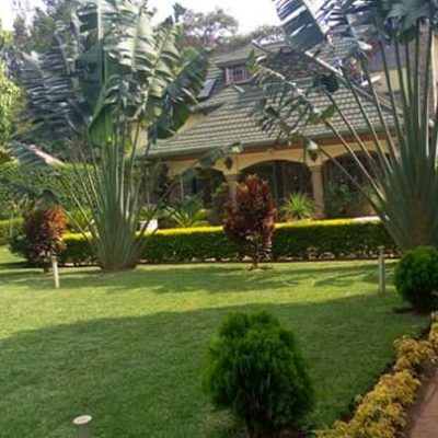Landscaping in Kenya