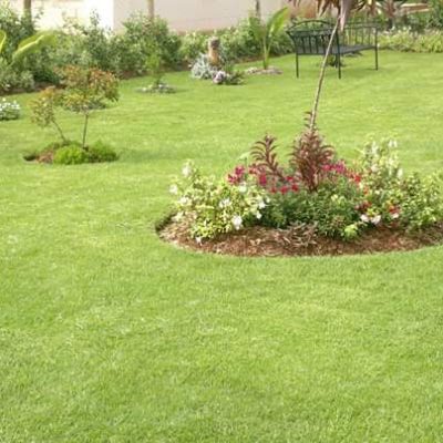 gardening and landscaping in Kenya